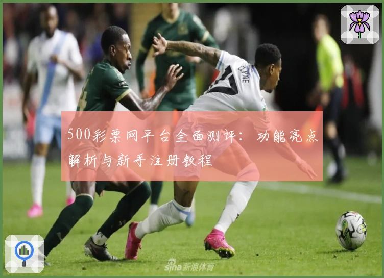 500彩票网平台全面测评：功能亮点解析与新手注册教程