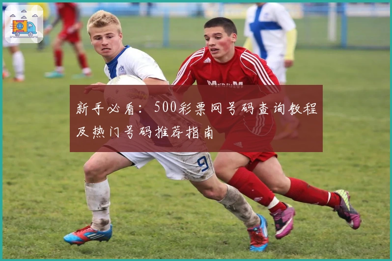 新手必看：500彩票网号码查询教程及热门号码推荐指南