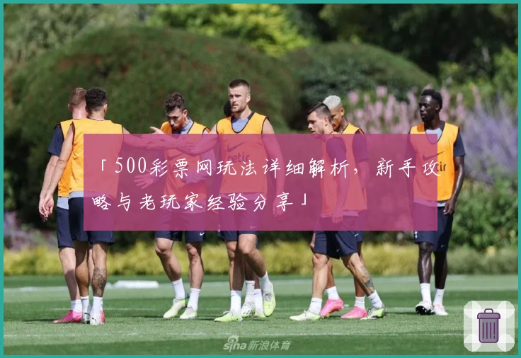 「500彩票网玩法详细解析，新手攻略与老玩家经验分享」