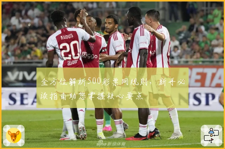全方位解析500彩票网规则，新手必读指南助您掌握核心要点