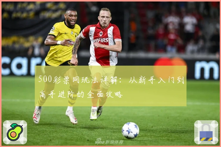 500彩票网玩法详解:从新手入门到高手进阶的全面攻略