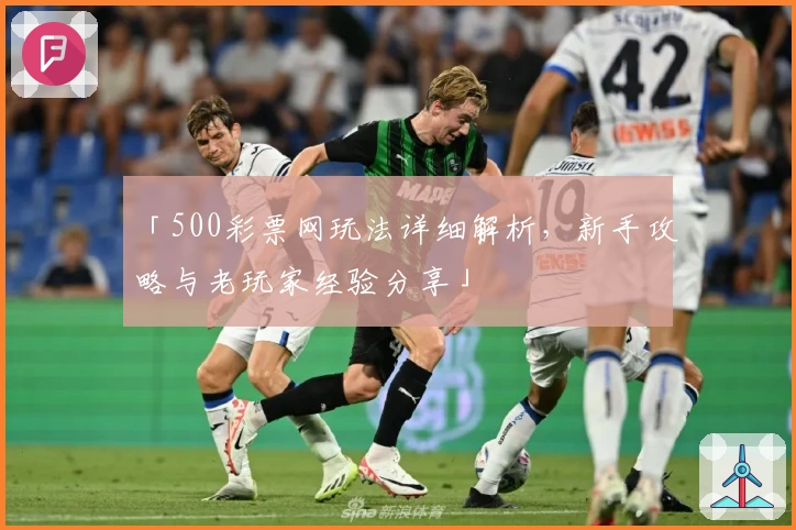 「500彩票网玩法详细解析,新手攻略与老玩家经验分享」