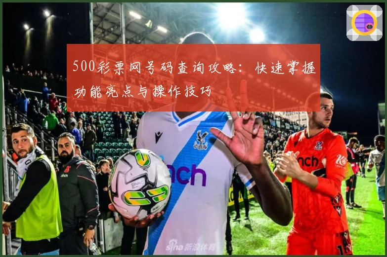 500彩票网号码查询攻略：快速掌握功能亮点与操作技巧